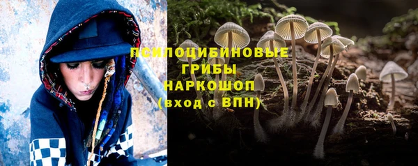 первитин Белокуриха